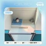 멍타쿠