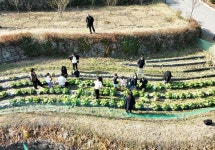 숲 놀이터 정음