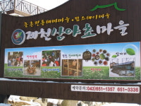 제천 산야초마을