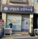 고양이 무마취 미용 냥털도둑