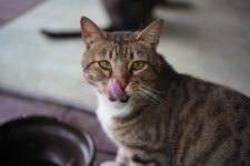 봄여름가을겨울민박