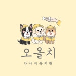 오올치유치원&미용
