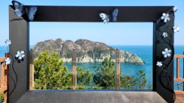 거제도소나무향기낚시펜션