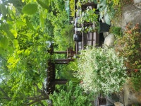 소금강냇물소리펜션