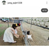 청도아기염소체험농장고트힐