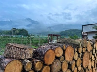 가야산금바우펜션