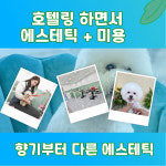 프렌즈도그 호텔 광주 서구점