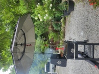 소금강냇물소리펜션