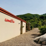 카멜리아 펜션