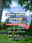 미래엔영어 아소비 홈런학원 신진주점