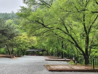 검산별빛캠핑장