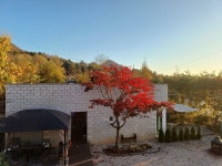 스테이오로지
