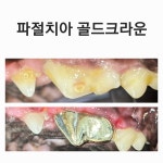 미소동물치과병원