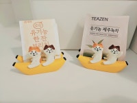 제선현고양이미용실