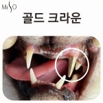 미소동물치과병원
