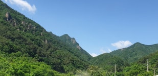 동해소금길펜션