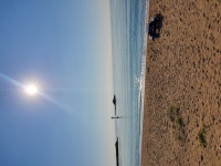 세모별