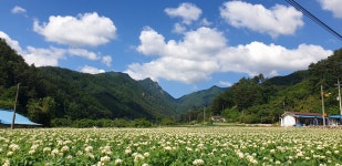동해소금길펜션