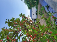 세모별