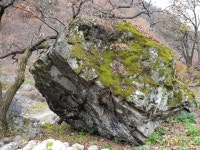 동해소금길펜션