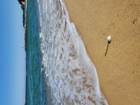세모별