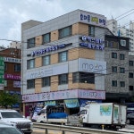 텍스레터세무회계