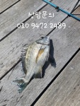 여수생활낚시터