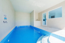 플러피애견풀빌라