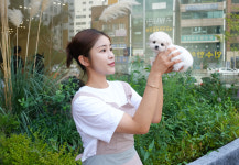 부산애견호텔 강아지유치원 펫퍼센트 코모네하우스