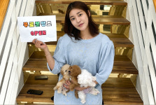 부산애견호텔 강아지유치원 펫퍼센트 코모네하우스