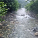 담터금학캠핑장