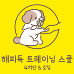 해피독 트레이닝 스쿨 애견유치원&애견호텔