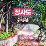장사도대포크루즈