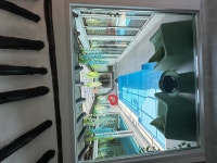 리지폴1923 대부도