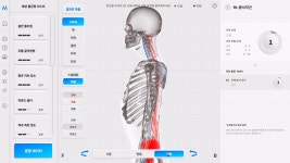 드메인 필라테스 스튜디오 여의도본점