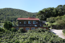 동메민박