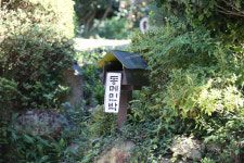 동메민박