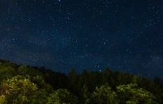 포레스트밸리펜션