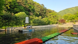 รูปภาพผลการค้นหา Naver 6