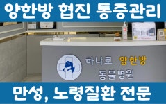 하나로양한방동물병원