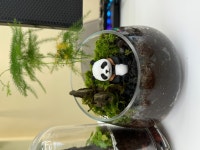 테라리움 파충류샵 게코몽 김포구래점