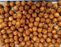 안녕문덕&숲속호두