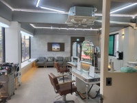 드니안바리깡헤어