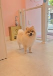 그루머엔제이