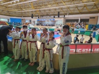 용인대광양태권도장