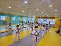 용인대광양태권도장