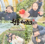 용인대청룡태권도 김해 율하관