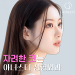 아너스티성형외과의원