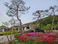 경주남산한의원