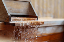 소동연가패밀리